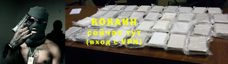 COCAIN FishScale Волхов