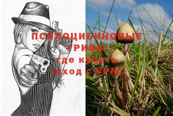 первитин Алексин