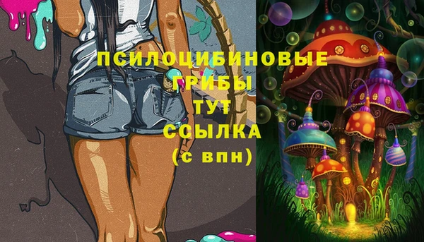 Альфа ПВП Алзамай