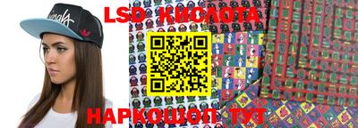 прущие грибы Кимры