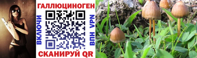 Галлюциногенные грибы MAGIC MUSHROOMS  кракен зеркало  Волхов 