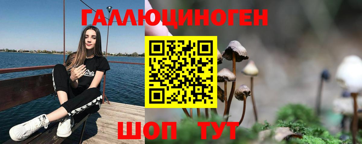 Псилоцибиновые грибы Magic Shrooms  Галлюциногенные грибы Cubensis  Волхов 