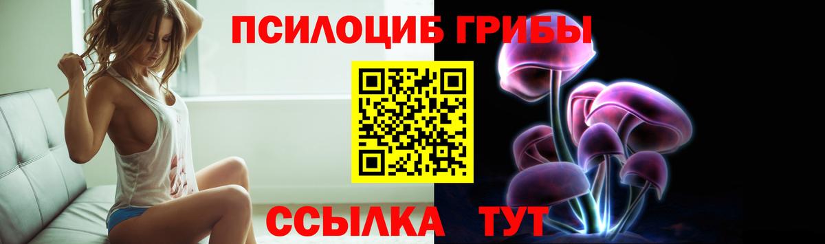 Галлюциногенные грибы Cubensis Волхов