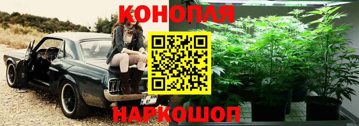 ЭКСТАЗИ  КОКАИН  Магазины продажи наркотиков  Бошки Шишки  Вход с VPN  ГАШ  Волхов  Мефедрон  